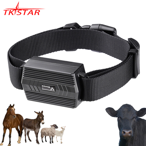 GPS rastreador de vaca TK935 TKSTAR, rastreador de voz con imán, impermeable, aplicación Web gratuita, Animal Camel ► Foto 1/6