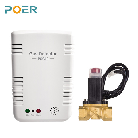 Detector inteligente de propano con butano GLP Natural, sensor de alarma con alerta de voz, 868Mhz, fuga de Gas ► Foto 1/4