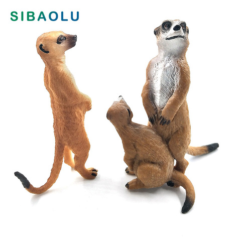 Figura pequeña de simulación de Meerkat, modelo de animal, bonsái, decoración del hogar, figura en miniatura para decoración de jardín, accesorios, estatua moderna de juguete ► Foto 1/6