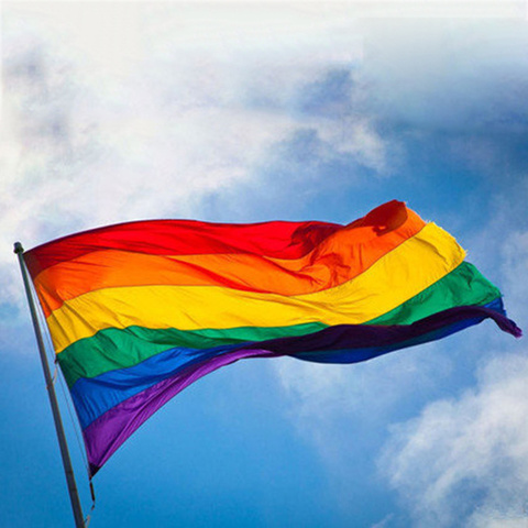 Bandera del arco iris colorido Arco Iris banderas de paz poliéster lesbiana Gay banderas de desfile de la bandera LGBT Orgullo LGBT banderas para decoración del hogar 3 tamaños ► Foto 1/6