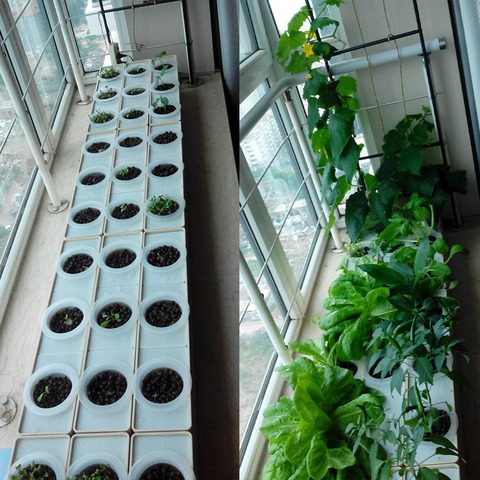 Dos Sets DIY cultivar verduras en casa o balcón Sistema de hidroponía sin tierra montar Sets verde jardín ► Foto 1/6