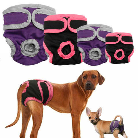 Pantalones cortos para perros femeninos pantalones fisiológicos para cachorros ropa interior para mascotas pequeñas Meidium Girl Dogs ► Foto 1/6