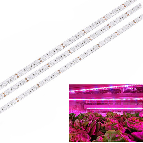 LED Grow light Full Spectrum 1 m 2 M 5 M LED tira 5050 LED flor planta Fito crecimiento lámparas para invernadero planta hidropónica crecimiento ► Foto 1/6