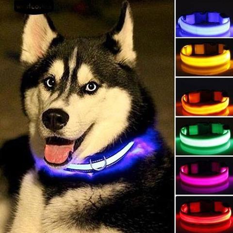 Collares luminosos de seguridad para caminar al aire libre Collar de perro mascota LED ► Foto 1/6