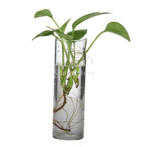 Jarrón para colgar en la pared de cristal transparente cilíndrico SUNTEK, botella para decoraciones de plantas y flores ► Foto 1/2