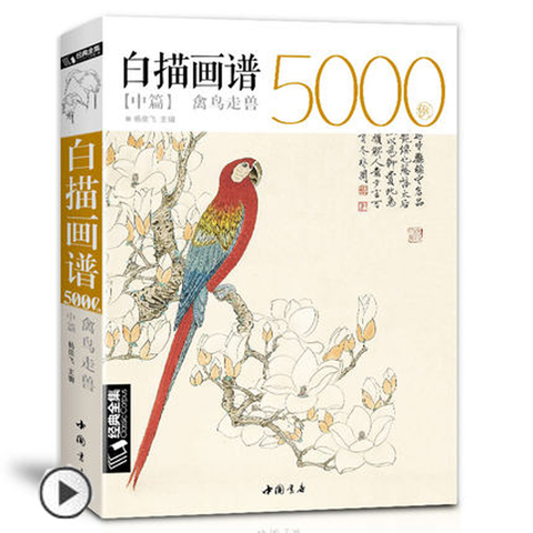 Estuche de dibujo blanco 5000, Pájaros de animales Libro de entrada mostaza China clásico pintura de líneas libro de texto ► Foto 1/5