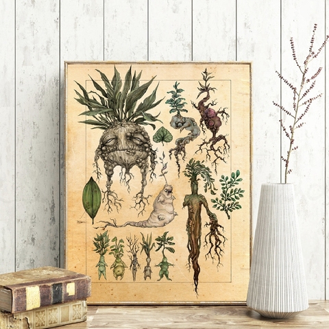Harry Fan Art Illustration Cute Mandrake Plant Decor lienzo pintura cuadro Cuadro de pared, película clásica cartel para habitación de niños Decoración ► Foto 1/4