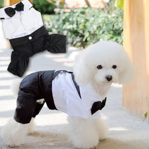 Traje de perro para bodas, ropa para perros pequeños, cachorro de peluche, capa de ropa para mascotas, accesorios para perros ► Foto 1/6