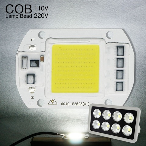 Lámpara de diodo de matriz de luz LED COB, Chip IC inteligente de alta potencia, 50W, 30W, 20W, 110V, 220V, bombillas de luz para exteriores, foco reflector artesanal ► Foto 1/6