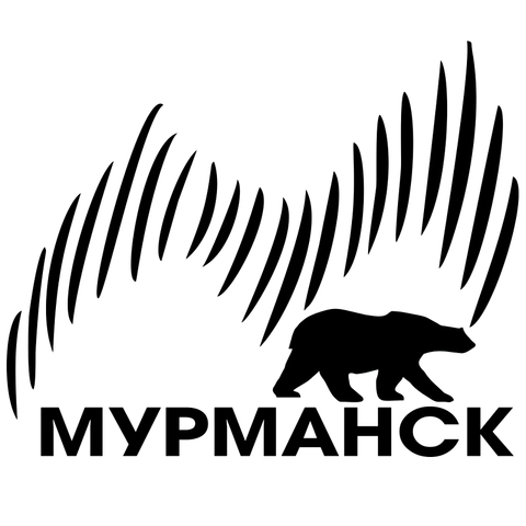 Pegatina de vinilo de Murmansk option 1 para coche, CS-740 #30*24,4 cm, color plateado/Negro, decoración para coche ► Foto 1/6