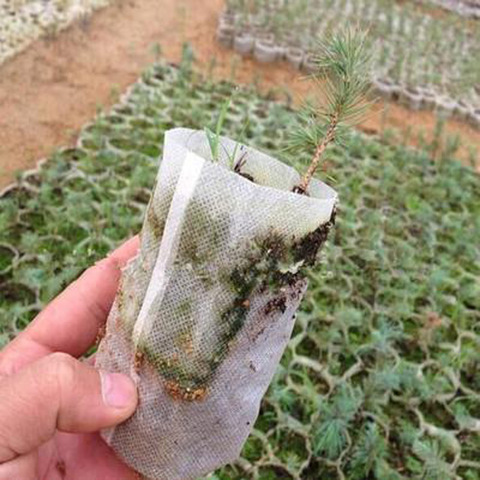 100 unids/pack plantadores vivero ollas bolsas de 8*10cm tejidos jardín planta bolsa de herramientas ► Foto 1/4