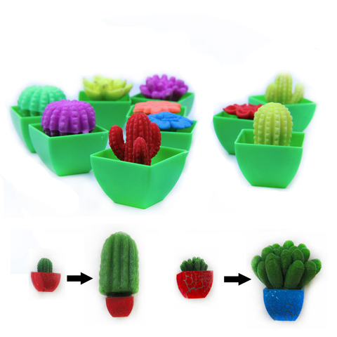 5 piezas de cultivo mágico en planta de flores de agua Cactuse Bonsai planta de expansión juguetes mágicos para niños la lata de Cactus crecer Juguetes ► Foto 1/6