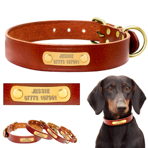 Perro personalizado Collar de identificación cuero personalizado grabado Pet ID Tag perrito nombre Teléfono No. placa ajustable para perros pequeños ► Foto 1/6