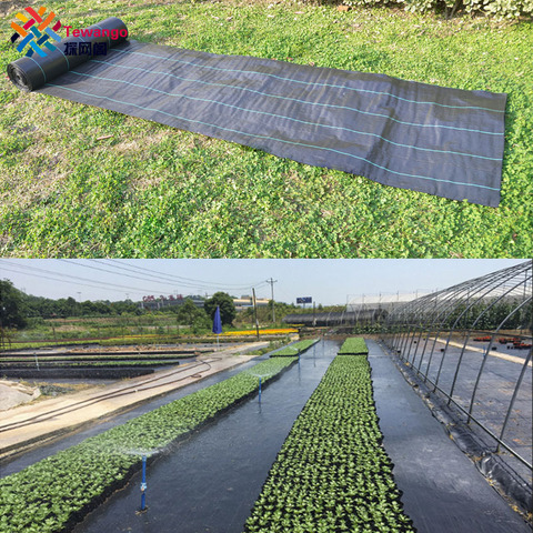 Tewango-cubierta de tela para jardín, bloque de barrera de hierba resistente para paisajismo, de plástico para invernadero, tamaño personalizado ► Foto 1/6