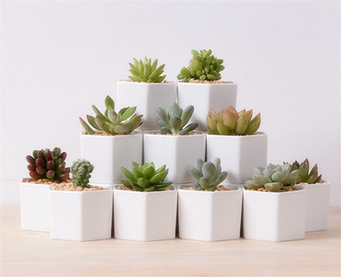 Gran Idea para pequeñas plantas! Lindo blanco de cerámica floreros hexágono flor olla creativo maceta pequeña florero regalo Decoración de casa ► Foto 1/4