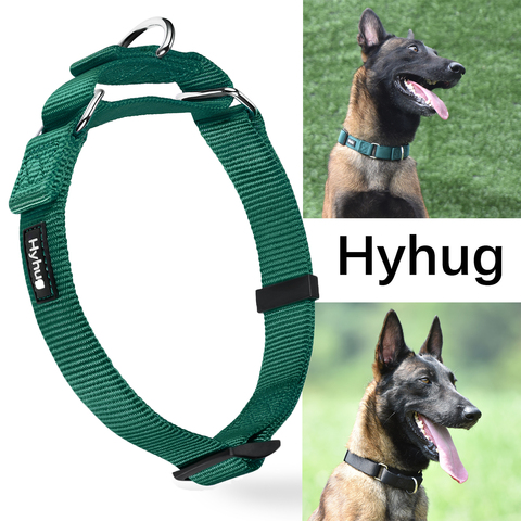 Collar de entrenamiento de nailon para perros, Collar ajustable de Martingale, para caminar, para perros medianos, grandes y pequeños, HY116 ► Foto 1/6