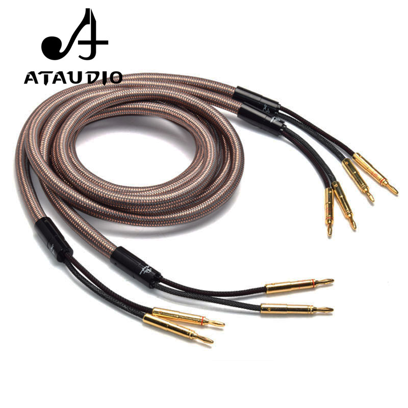 SKW-Cable de altavoz de Audio HIFI de alta gama, 1 par, Cable de altavoz  audiófilo