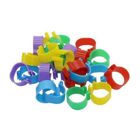 Anillos de aves de corral de 20 mm con bandas para las piernas 100 Uds., anillos de aves de corral de 5 colores, anillo de codorniz, herramientas de transporte, Logo de alimentación ► Foto 1/6