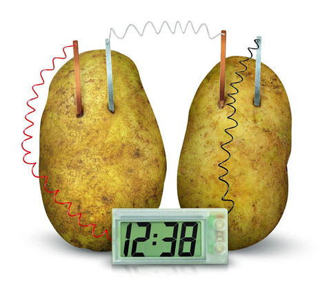 Reloj de patata para niños, nuevo proyecto de ciencia verde, Kit de experimentos, juguete educativo divertido para la escuela en casa ► Foto 1/3