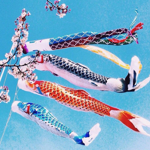 Koi Nobori-Calcetines coloridos con bandera de pez para decoración del hogar, calcetín de viento de carpa, 40/70/100 CM, nuevo estilo, #265902 ► Foto 1/6