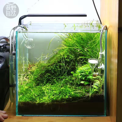 Chihiros-planta de agua para acuario, Luz LED para crecimiento de plantas de estilo ADA, mini clip nano, serie C, novedad ► Foto 1/6