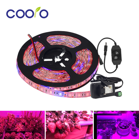 LED crece luces de espectro completo DC12V Cultivo LED tira luz del crecimiento vegetal conjunto con adaptador y interruptor regulable para la planta creciente ► Foto 1/1