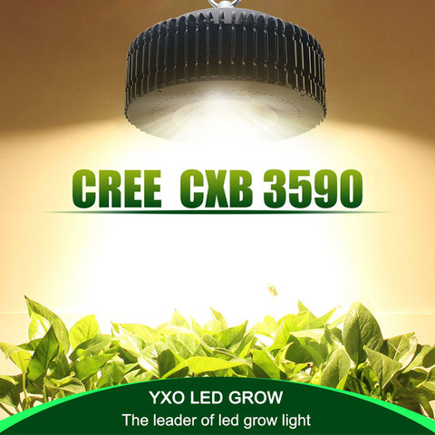 Original Cree COB CXB3590 CXB 3590 led crece la luz 3000k 3500k 5000k 80 Samsung LM561C S6 led luz para crecer plantas medicinales ► Foto 1/6