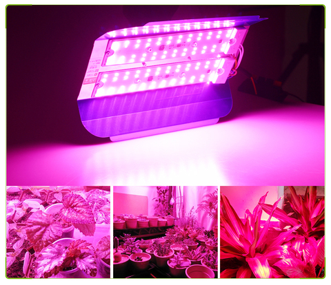 Luz LED de cultivo 100W 50 W, Phytolamp de espectro completo, lámparas LED COB impermeables para cultivo de plantas, flores, lámpara Phyto IP65 220V ► Foto 1/6