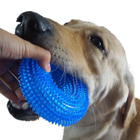 S/XL Squeak masticar mascotas juguetes para Golden Retriever perros grandes entrenamiento divertido masticar espina círculo anillo pequeños juguetes para perros sonido interactivo ► Foto 1/6