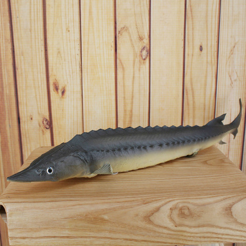 Modelo de simulación de pez de esturión Pu, adornos de decoración para sala de estar ► Foto 1/4
