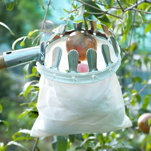 De Metal recolector de frutas Huerta jardinería Apple Peach de árbol utensilios para coger piezas de fruta Catcher de herramientas de jardinería ► Foto 1/6