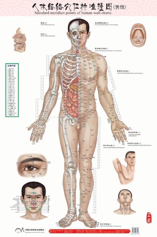 Wallmap-Mapa de puntos meridianos humanos para hombre, masaje con acupuntura, humano completo, flipchart HD 3, chino e inglés, Envío Gratis ► Foto 1/1