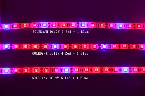 Tira de luces LED de espectro completo, lámparas LED de Fito de 5 M, 300 LED, Chip 5050, luces de cultivo Fitolampy para invernadero, planta hidropónica ► Foto 1/4