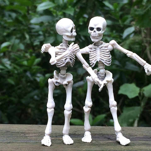 Alta calidad 1 unid divertido movible Sr. huesos esqueleto humano modelo cráneo cuerpo completo Mini figura juguete Halloween regalo para niños ► Foto 1/6