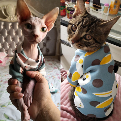 Estampado de conejo disfraz mascota gato para gatos de Kedi Katten Sudadera con capucha Primavera Verano gato traje de ropa de mascotas ropa para gato ► Foto 1/6