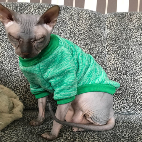 Gato caliente ropa de invierno ropa para mascotas para gatos moda trajes abrigos suéter suave con capucha conejo animales primavera mascotas 1b44 ► Foto 1/6