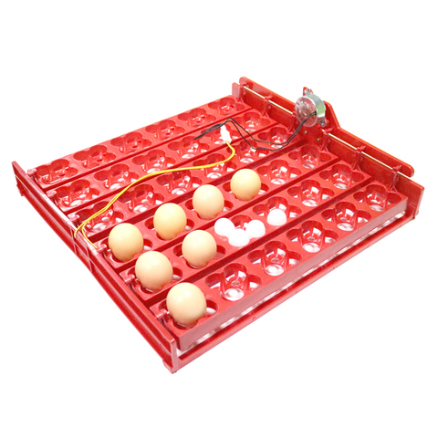 36 huevos/144 huevos de pájaro pato ganso paloma codorniz automática incubadora de incubación equipos de aves de corral incubadora equipo ► Foto 1/6