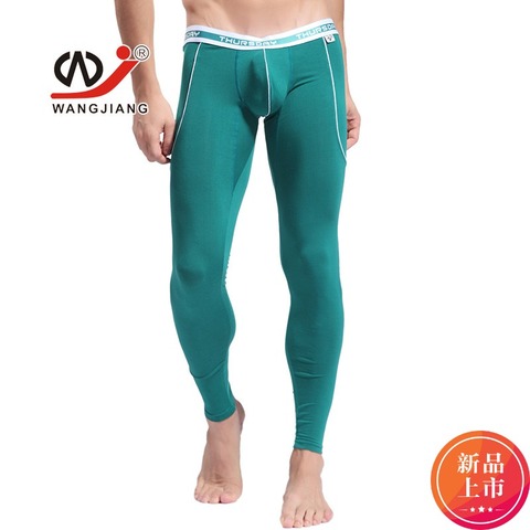 Calzoncillos largos WJ para hombre, ropa interior transpirable de fibra de bambú, braguitas cómodas para invierno, 4 colores ► Foto 1/4