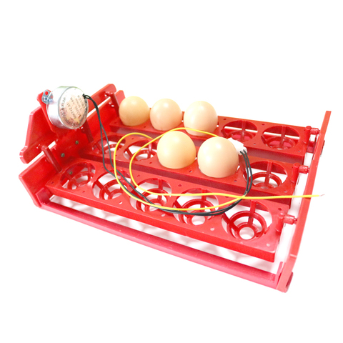 15 huevos incubadora bandeja de huevos 3*5 agujeros incubadora automática bandeja de huevos girar automáticamente el equipo de incubación de aves de corral ► Foto 1/6