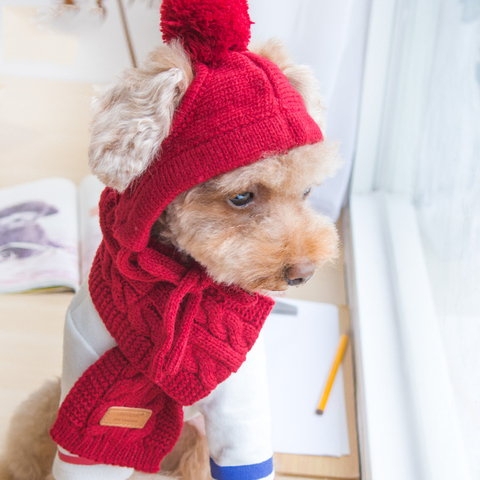Lujosos sombreros de mascota tejidos, accesorios de aseo de invierno con bufanda, conjuntos en rojo, negro, gris, algodón, gatos, perros, suministros para Chihuahua Yorkshire ► Foto 1/6