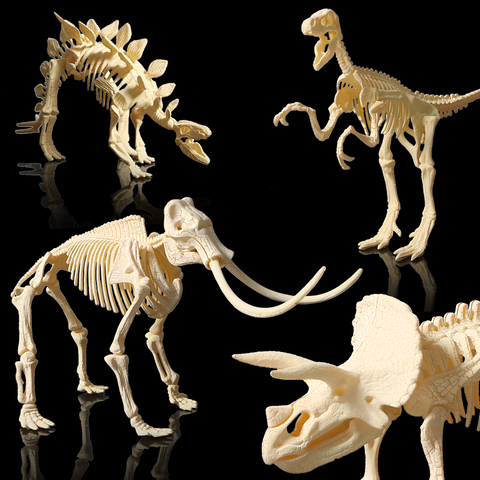 Esqueleto 3D DIY ensamblaje dinosaurio modelos plástico hueso juguete para niños, Triceratops/stegosaurus/velociraptor/mamut para elegir ► Foto 1/6