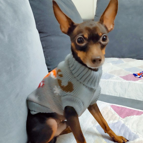De dibujos animados lindo pequeño perro suéter de invierno cálido ropa para mascotas para Chihuahua cachorros jerseys mascotas ropa para perros perro traje ► Foto 1/6