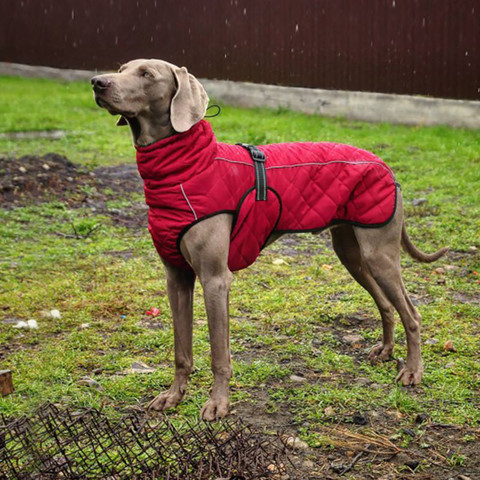 Ropa para mascotas al por mayor, chaqueta para perro, ropa de invierno para perro, ropa roja para perros Golden Retriever, chaqueta impermeable grande para perro, color negro ► Foto 1/6