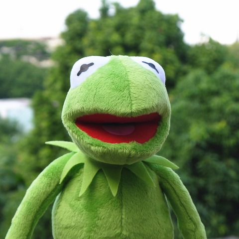 Peluche de la calle Kermit de 40cm, peluche de ranas, juguetes de felpa para el Show Muppet, muñeco de peluche de cumpleaños y Navidad para niños ► Foto 1/6