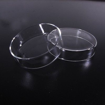Plato de cultivo de vidrio de borosilicato, 75mm, para laboratorio químico, antibacterias ► Foto 1/4