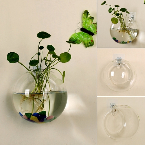 Jarrón de cristal para colgar en la pared, terrario hidropónico para acuarios, maceta para plantas y flores ► Foto 1/6