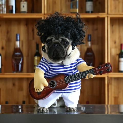 Divertido reproductor de guitarra mascota Cosplay perro disfraz guitarrista vestido fiesta Halloween Año nuevo ropa para pequeños perros franceses gatos 3 ► Foto 1/6