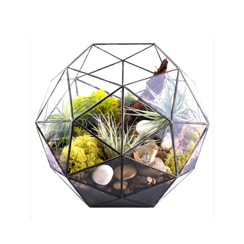 Terrarios de vidrio geométricos para decoración de hogar/oficina/boda, terrarios geodémicos creativos para plantas/suculentas/Flores ► Foto 1/6