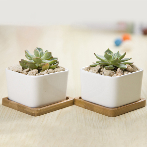 2 Sets cuadrado blanco de cerámica plantador Zakka estilo macetas de suculentas flor de escritorio maceta decoración hogar (2 Pots + 2 bandejas) ► Foto 1/1