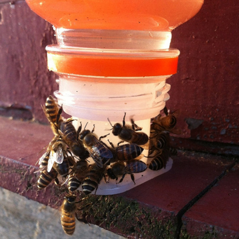 Taza de fuente para beber de abejas, tapa de botella de agua, Herramientas de apicultura para alimentación de insectos, 2 uds. ► Foto 1/5